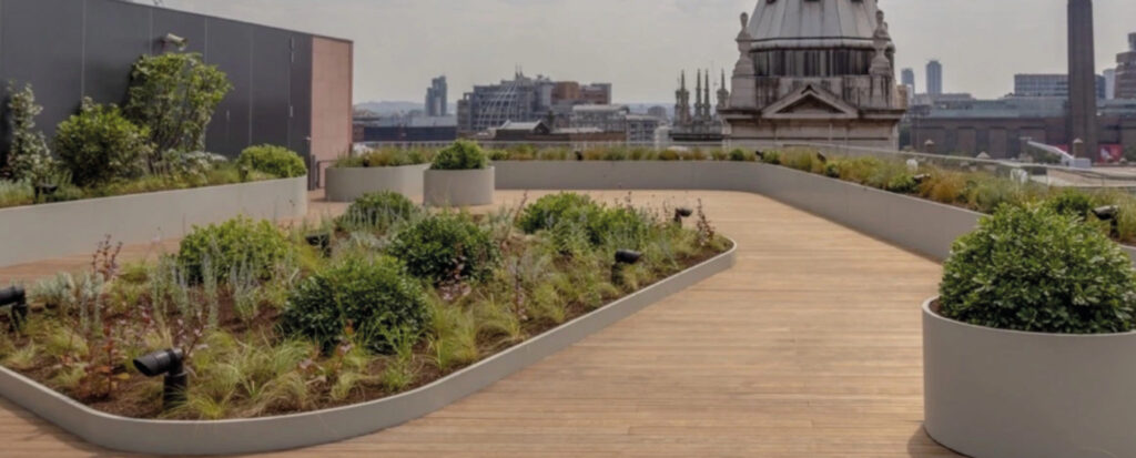 terraza azotea san pablo
